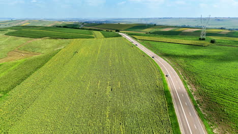 winding road through farmland. lush green fields stretch across the landscape beside a winding road under a clear sky, highlighting rural serenity
