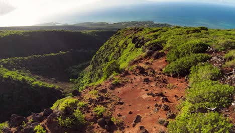 aerial over valley, a remote wilderness area on the island of molokai, hawaii