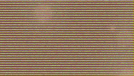 animation of tv static effect over background with copy space