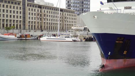 seals relaxing on bow of ship next to waterfront in cape town, south africa