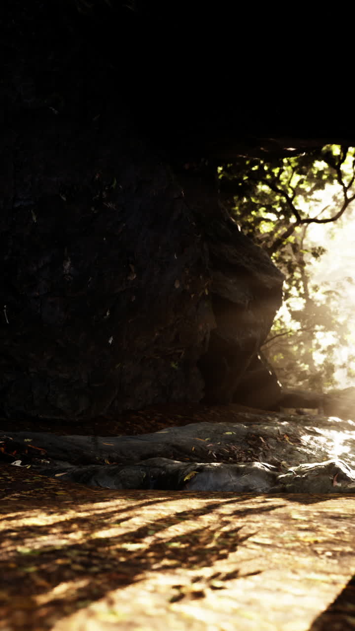 la luz del sol asomando a través de las rocas del bosque