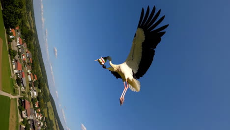 stork delivering a gift