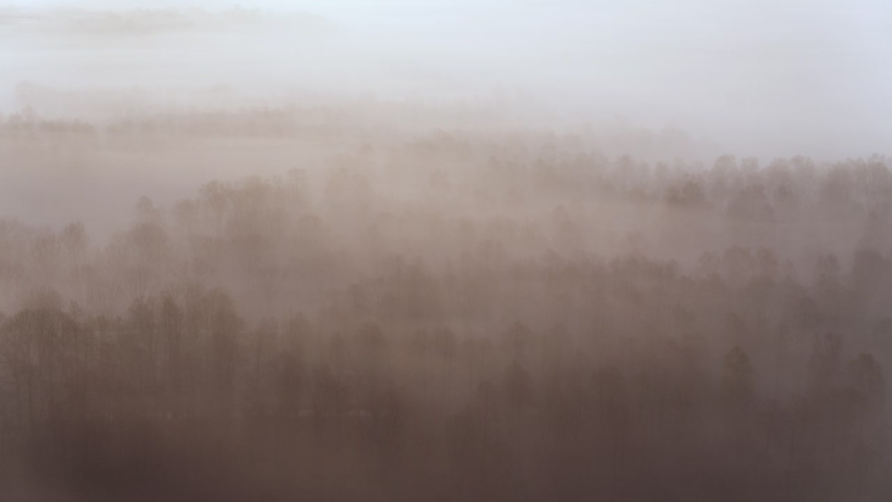 Drone flight above forest silhouette in gloomy misty forest backlit by daylight
