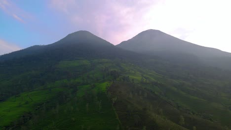 vista aérea de la granja de terraza de té verde fresco en la ladera de la montaña