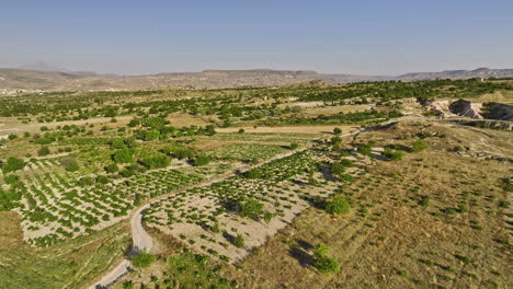 Göreme-Turkey-Aerial-v22-ürgüp-rural-landscape,-drone-flyover-farmlands-on-terrain-with-unique-rock-formations-and-rocky-fairy-chimneys-on-a-sunny-day---Shot-with-Mavic-3-Cine---July-2022