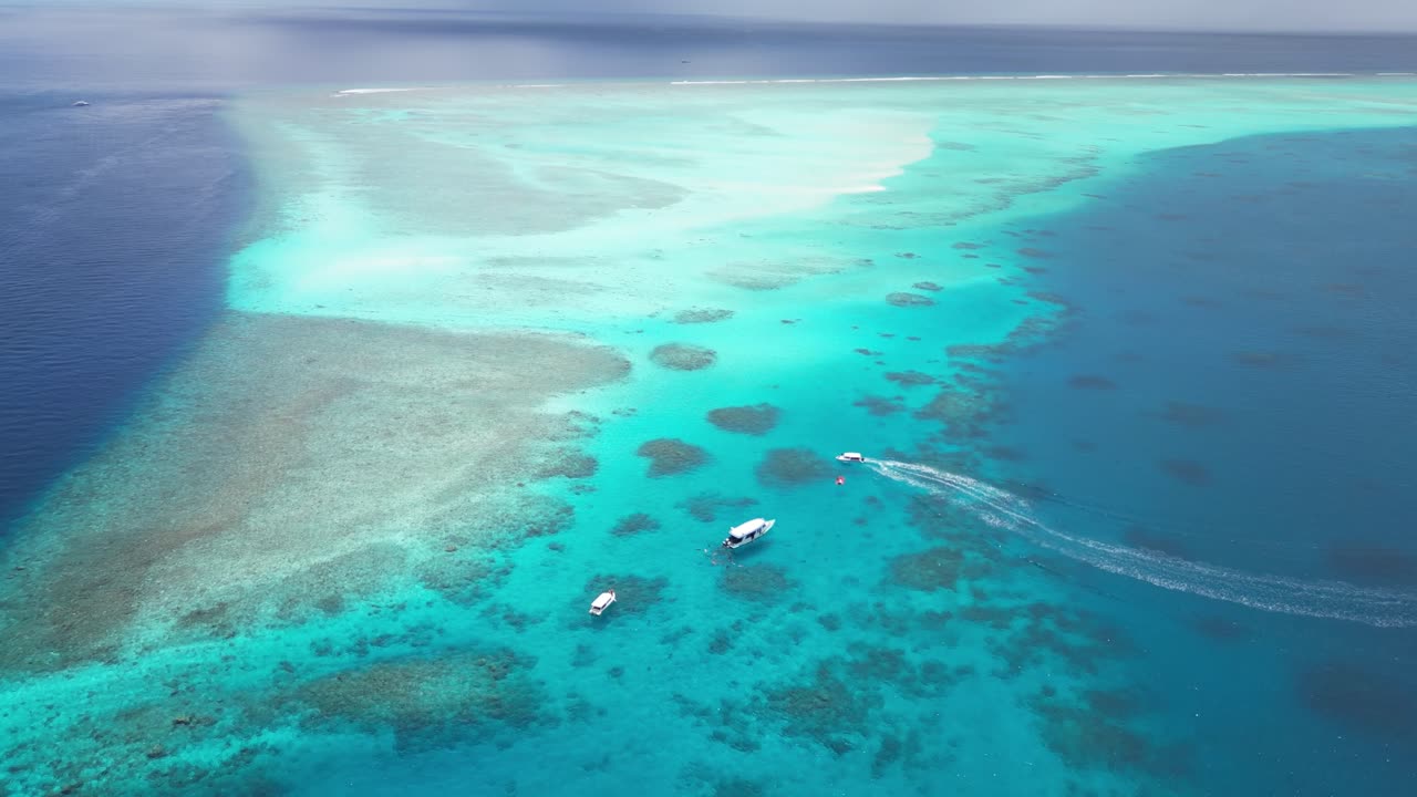 Aerial View of a Stunning Coral Reef in the Maldives