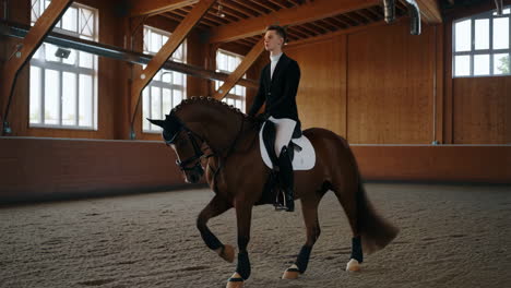 man riding horse in indoor dressage arena