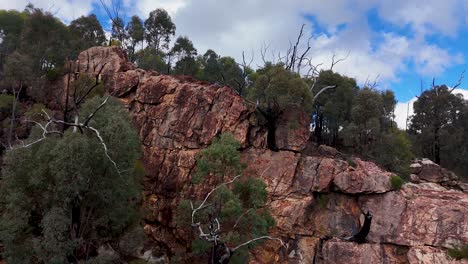 drone camera glides over rugged sandstone cliffs and eucalyptus trees under partly cloudy skies in warrumbungle national park, revealing dramatic australian bushland terrain
