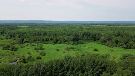 lush green trees and grass in river valley with rolling hills and farmland fields