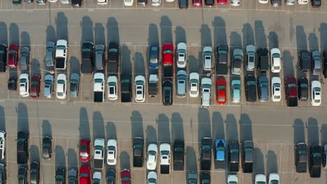 filas de autos nuevos y usados en el estacionamiento del concesionario de automóviles