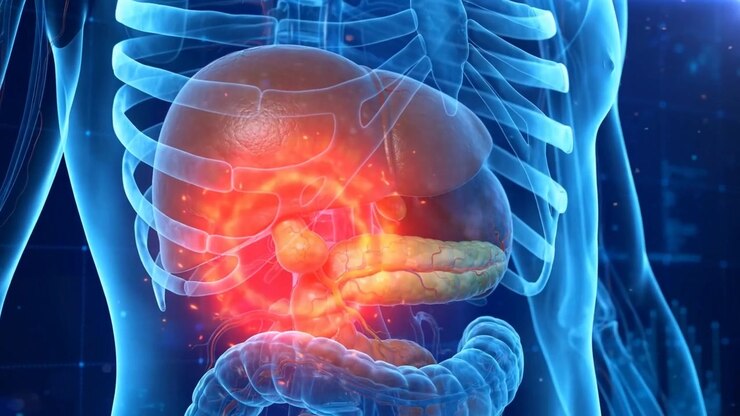 Medical animation showing gallbladder area pain in a translucent blue human body with a glowing red-orange highlight at the pain area