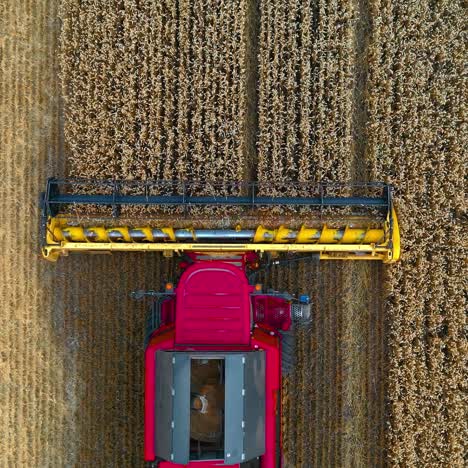 harvester machine works in field