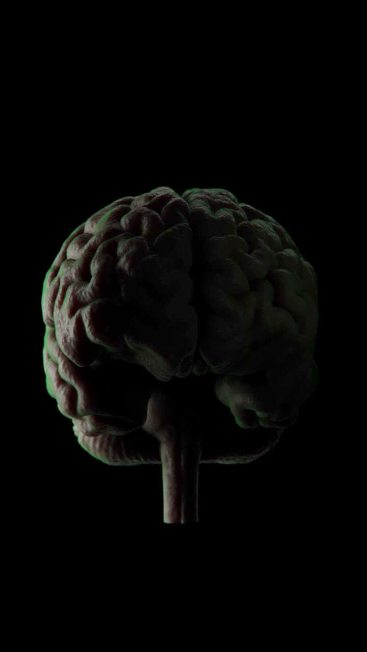 NOVO BRAIN | Novo hjernevisualisering | hjernevisualisering i vertikal video