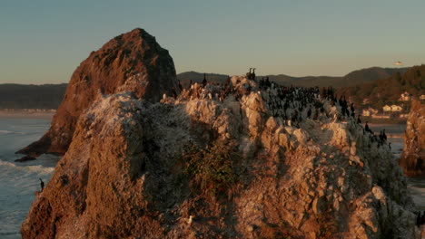 circling aerial shot of a colony of seabirds nesting on top of a sea stack