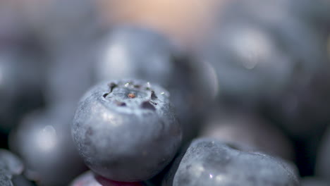 macro close up washing a bunch of fresh, delicious blueberries in the sunlight