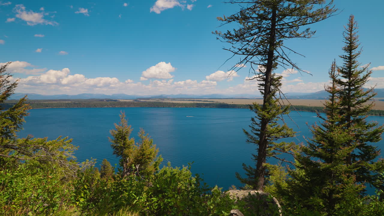Scenic View of a Lake and Mountains with Pine Trees