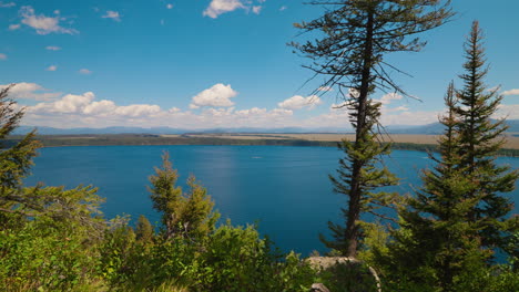 scenic view of a lake and mountains with pine trees