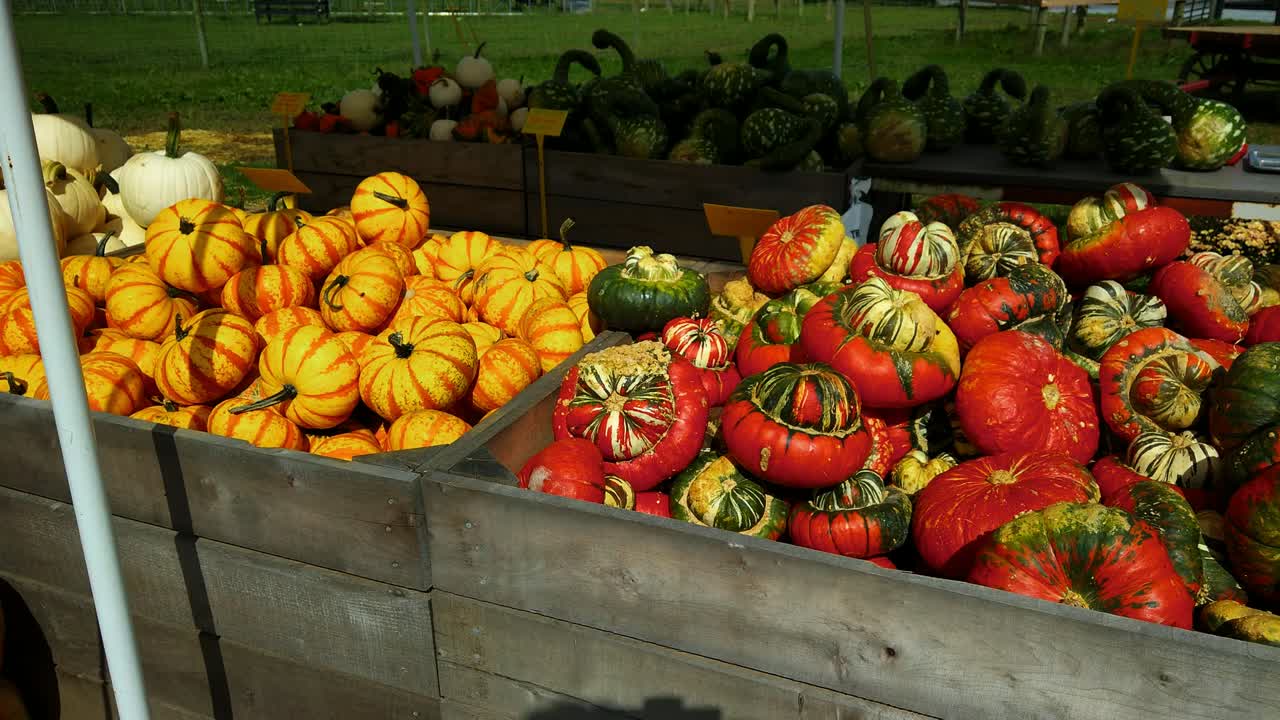 puesto de granja amish que vende plantas y decoraciones de otoño