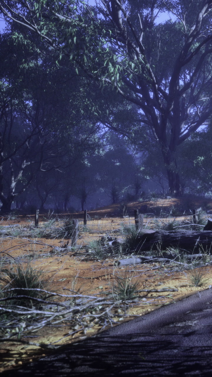 Mystical twilight on a tranquil forest path with towering trees