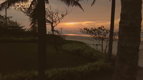 beautiful aerial shot shownig flying through palm trees to the beach and open ocean, brazil