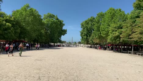 time lapse footage of people walking at public garden called "jardin des tuileries" in paris. obelisk at concorde square is in the view.