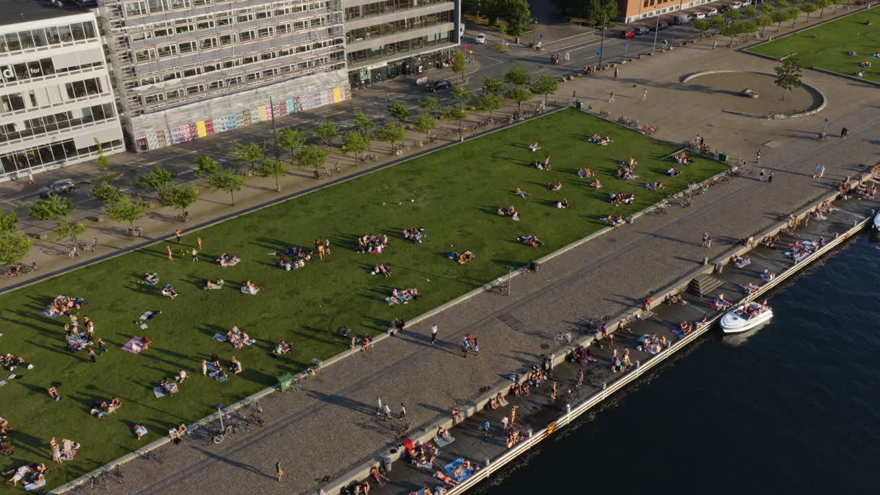 Aerial view of locals gathering on the green lawn and along the harbor edge in the evening sun at Havneparken, Islands Brygge in Copenhagen, Denamark