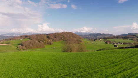 aerial view of chartreuse valley landscape, with fields and meadows, aerial view, france