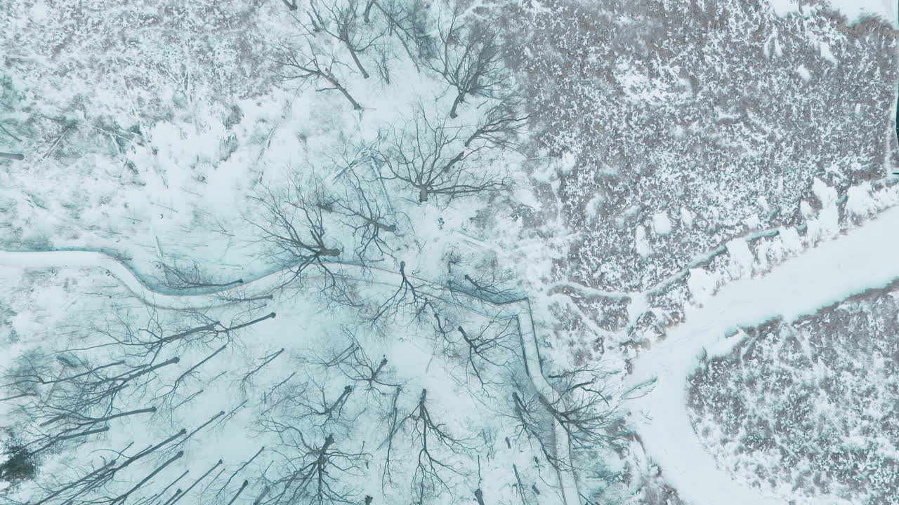 Veduta aerea di foresta invernale innevata e palude ghiacciata