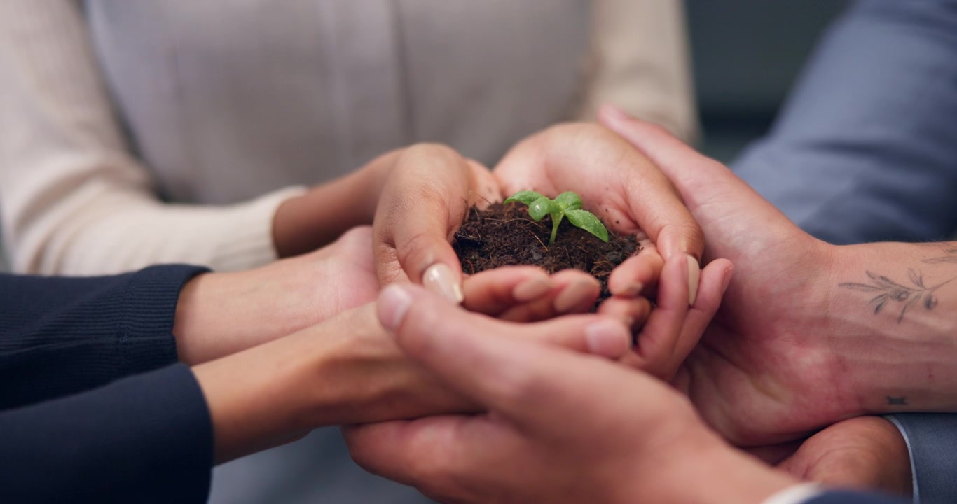 Diverse Group Holding Soil with Small Green Sprout