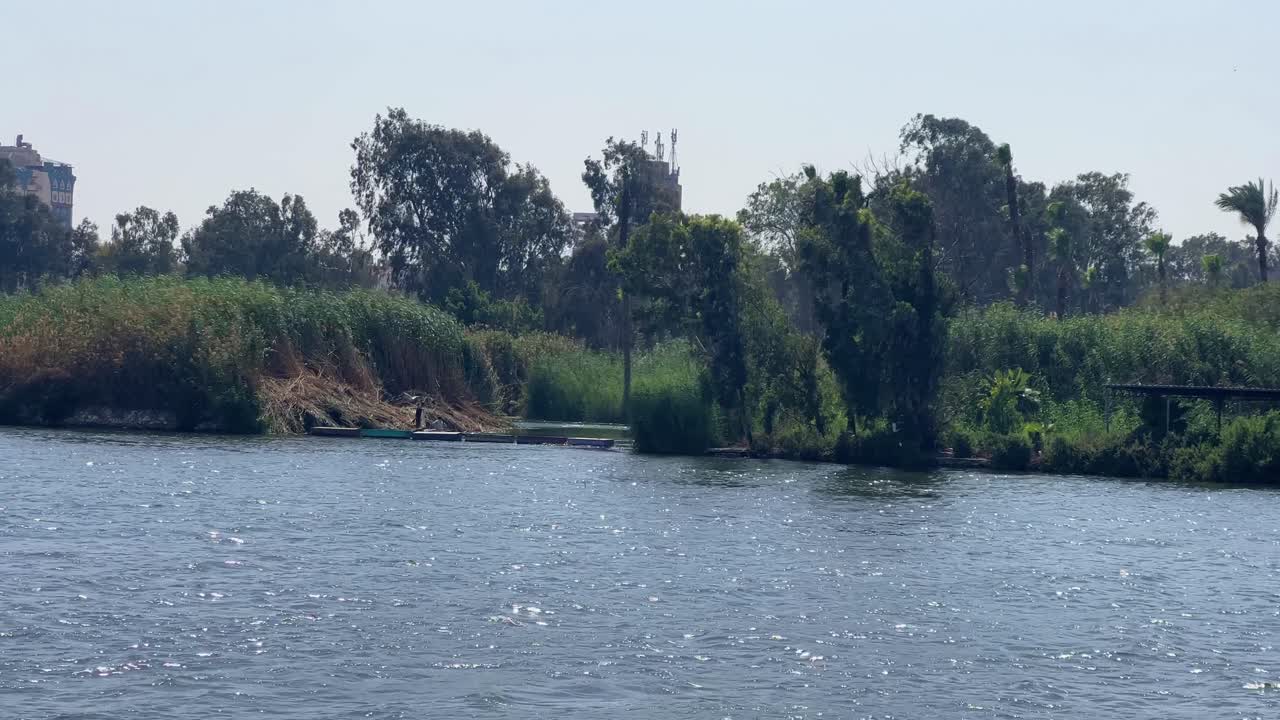 río nilo cerca de el cairo en egipto durante el día con fauna y vegetación en el norte de áfrica