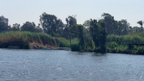 Nil-In-Der-Nähe-Von-Kairo-In-Ägypten-Tagsüber-Mit-Fauna-Und-Vegetation-Im-Norden-Afrikas