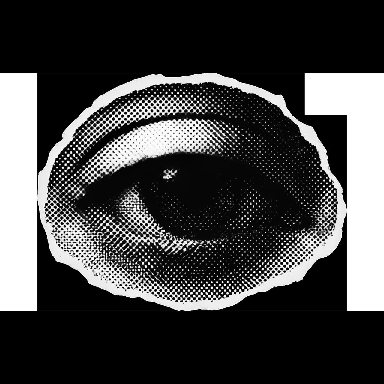 Abstract monochrome eye collage animation isolated asset, transparent 4K video, alpha channel