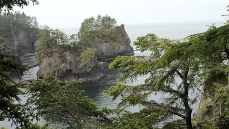 view of two ocean sea stack formations from behind green tree foliage