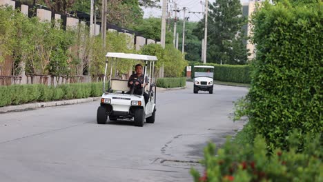 a sequence of golf carts driving along a scenic route.