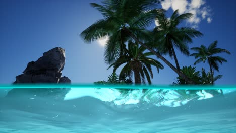 split view cross section of sea water and palm trees on island