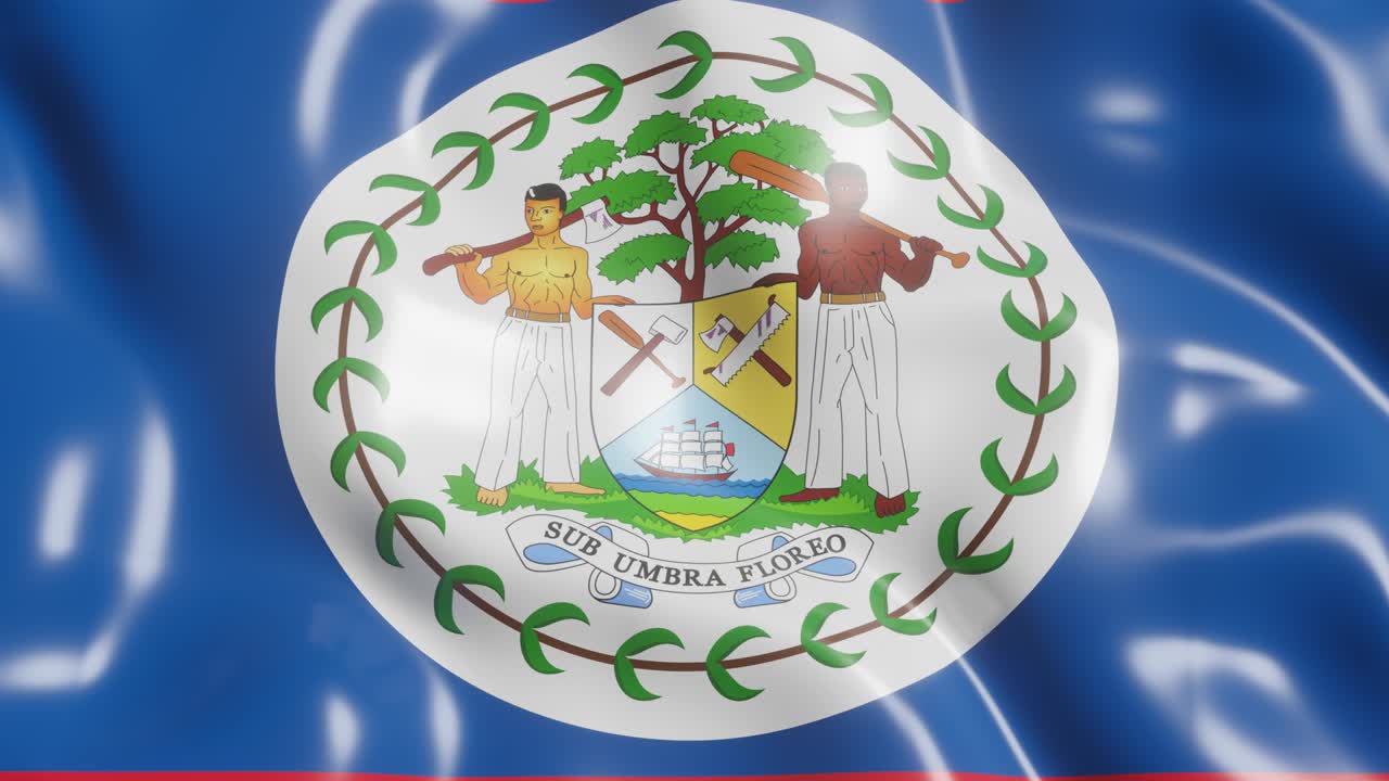 3d 렌더링: 벨리즈의 발을 흔들고, 바람을 배경으로 한 국가 발, 4k 현실적인 원활한 루프 애니메이션 비디오 클립