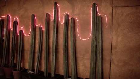 cactus decorations on the wall