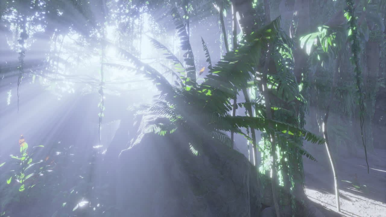 Sunlight filters through a lush forest canopy creating a mystical atmosphere