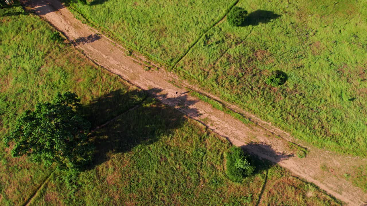 Napa Valley, California. Aerial bird's-eye view of a person running along a trail surrounded by lush green grass and trees casting long shadows during sunrise.