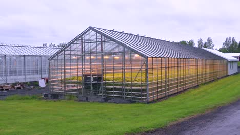 exterior establishing shot of an iceland greenhouse using geothermal hot water to grow fruits and vegetables 3