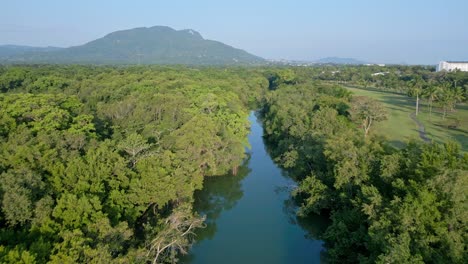 río muñoz que fluye entre un exuberante bosque verde en puerto plata, república dominicana