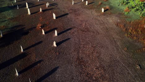 vista aérea de montículos de termitas magnéticas que se encuentran en una amplia llanura plana en el parque nacional litchfield en el territorio del norte de australia