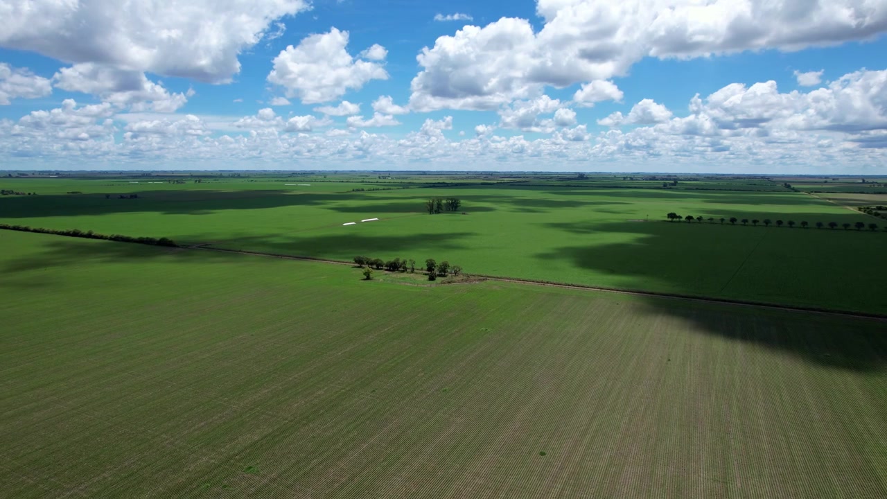 Drone flyover moving forward and tilting camera up to reveal a vast regional horizon with cumulus cloud shadows passing over fertile soybean and maize fields in Argentina