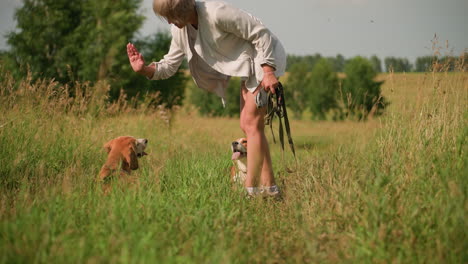 mujer con pantalones cortos blancos al aire libre en un campo cubierto de hierba jugando con su perro mientras felizmente se da la vuelta, mientras que el segundo perro mira con la boca abierta, una interacción cálida en un día soleado