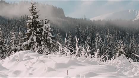 Nieve-Con-Bosque-Y-Montañas-Detrás