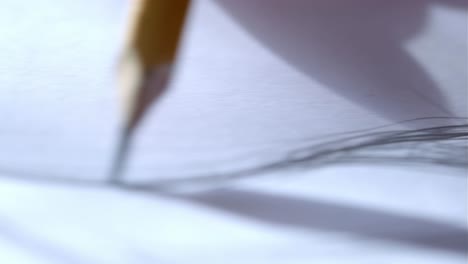 close-up of pencil sketch