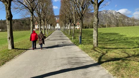 camera ride in an avenue with a beautiful castle at the end