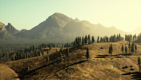 Hermosa-Vista-A-La-Montaña-Con-Bosque-De-Pinos