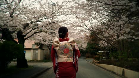 japanese woman in kimono amidst cherry blossoms
