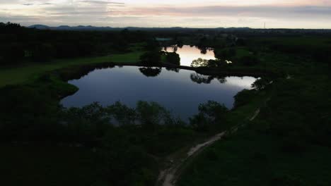 Charming-aerial-view-on-a-lake-during-sunset-with-birds-flying-around